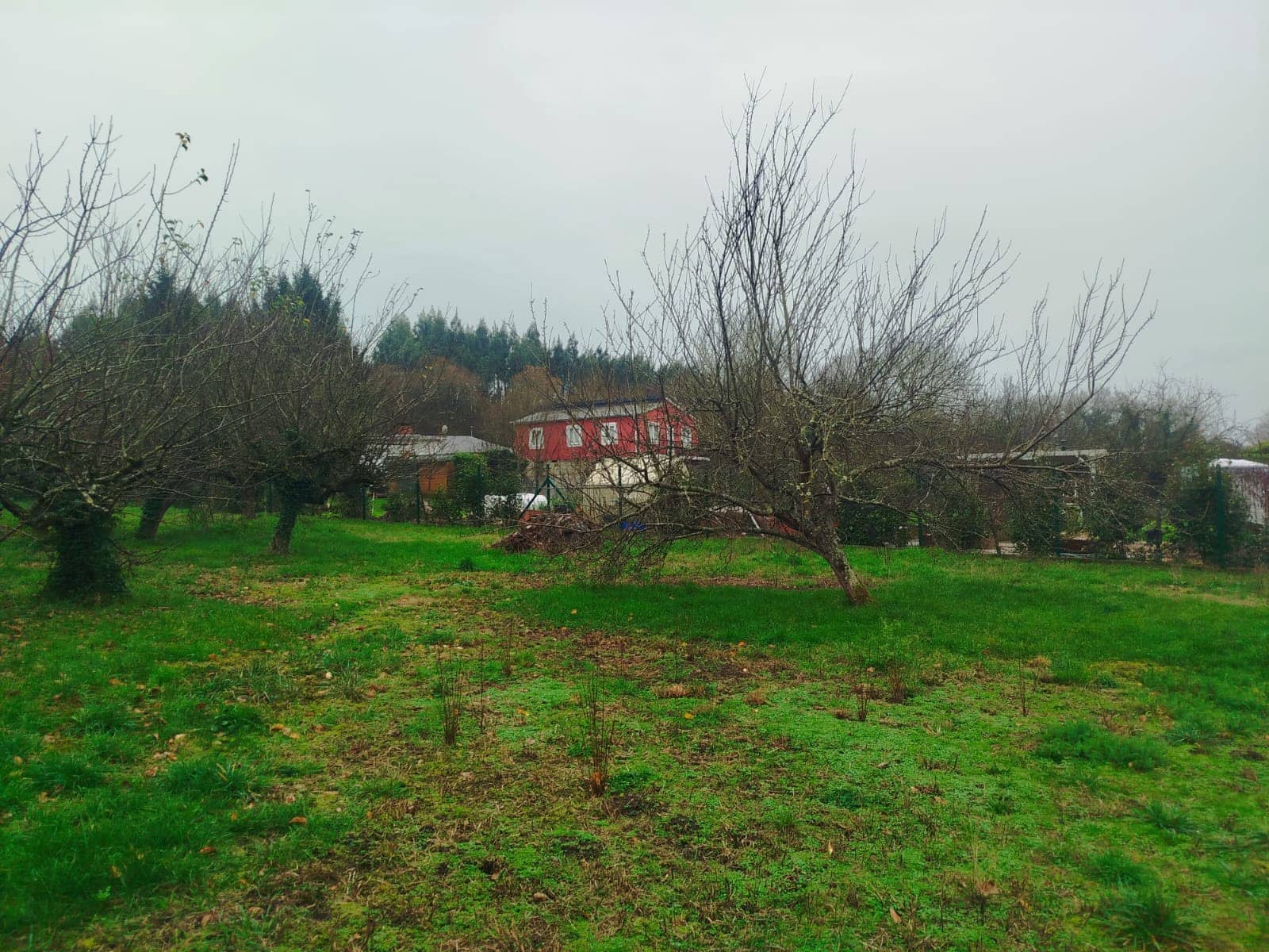 5 soveværelse Finca/Landehus til salg i Lugo by med garage - € 409.500 (Ref: 9714347)