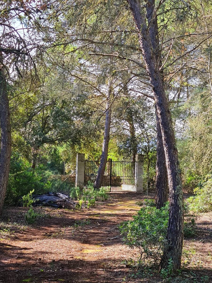 Grunde uden byggetilladelser til salg i Costitx - € 270.000 (Ref: 9699213)