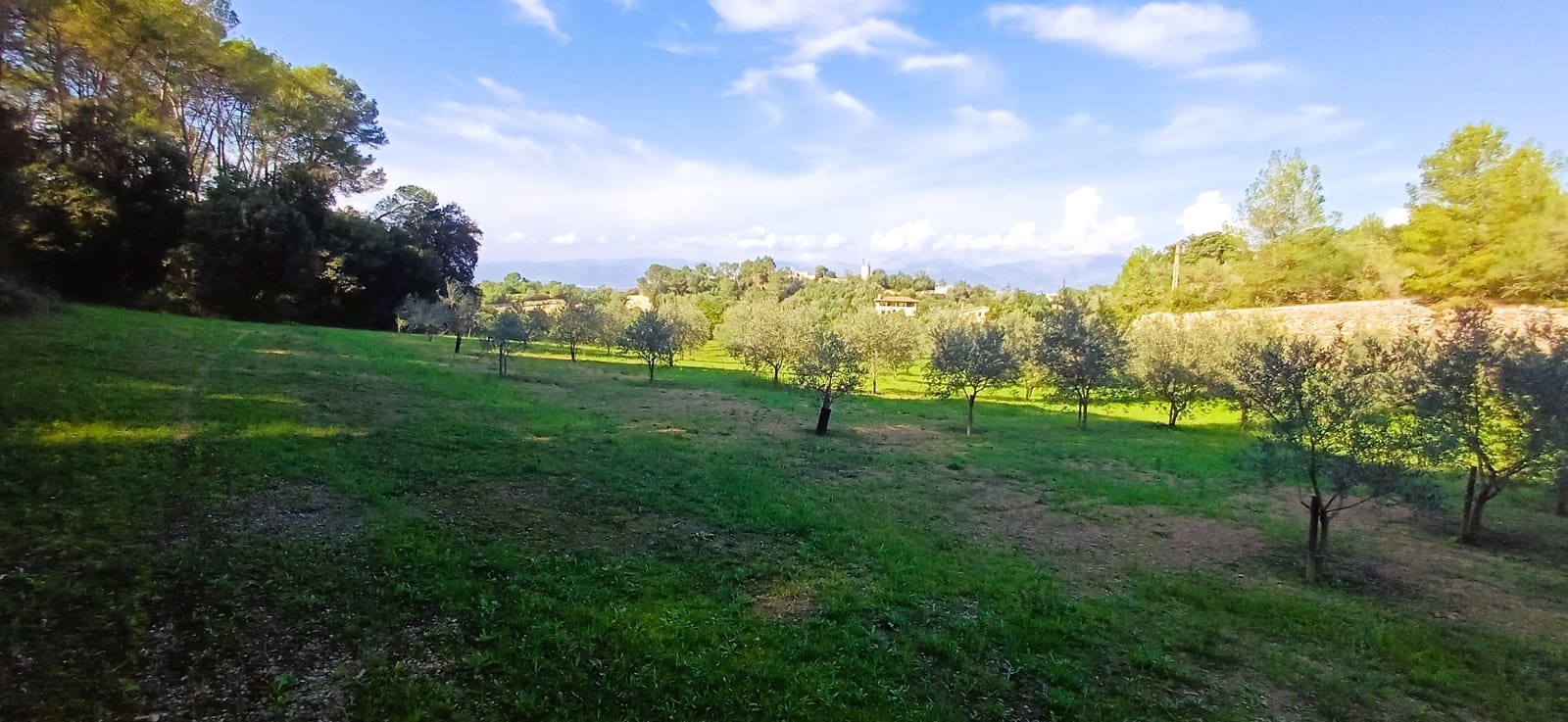 Grunde uden byggetilladelser til salg i Costitx - € 270.000 (Ref: 9699213)