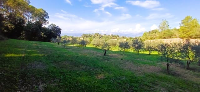 Grunde uden byggetilladelser til salg i Costitx - € 270.000 (Ref: 9699213)