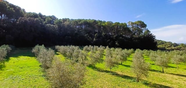 Grunde uden byggetilladelser til salg i Costitx - € 270.000 (Ref: 9699213)