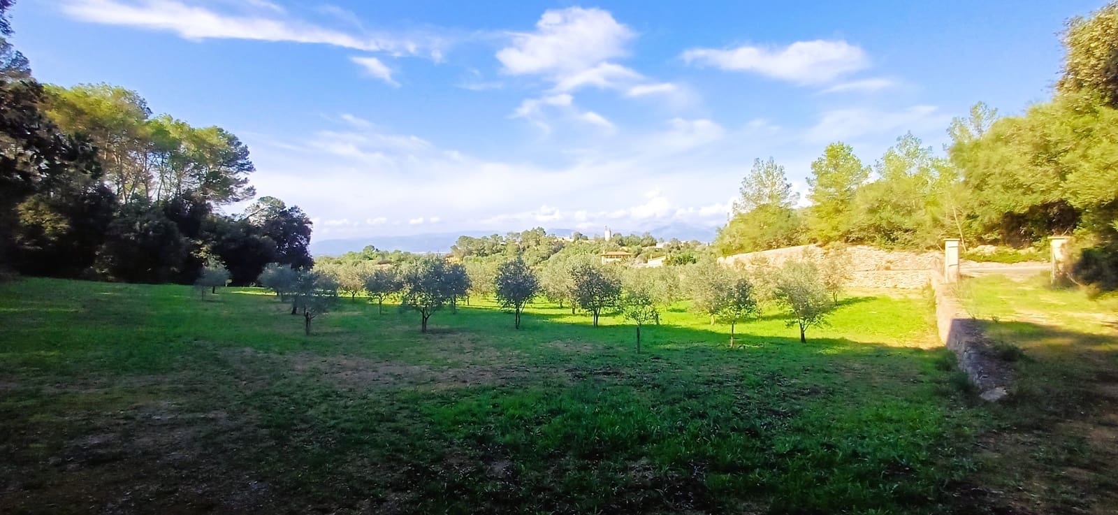 Grunde uden byggetilladelser til salg i Costitx - € 270.000 (Ref: 9699213)