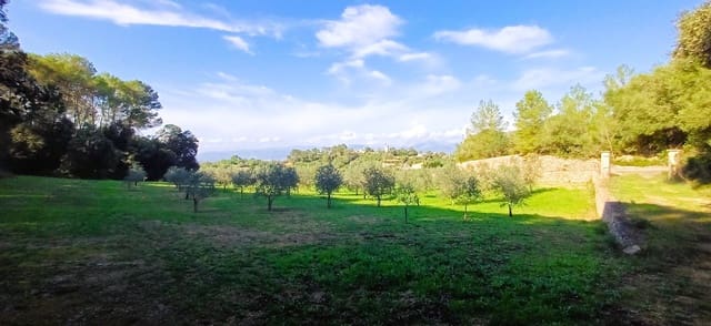 Grunde uden byggetilladelser til salg i Costitx - € 270.000 (Ref: 9699213)