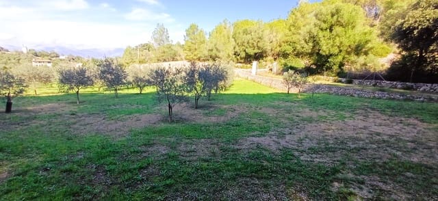 Grunde uden byggetilladelser til salg i Costitx - € 270.000 (Ref: 9699213)