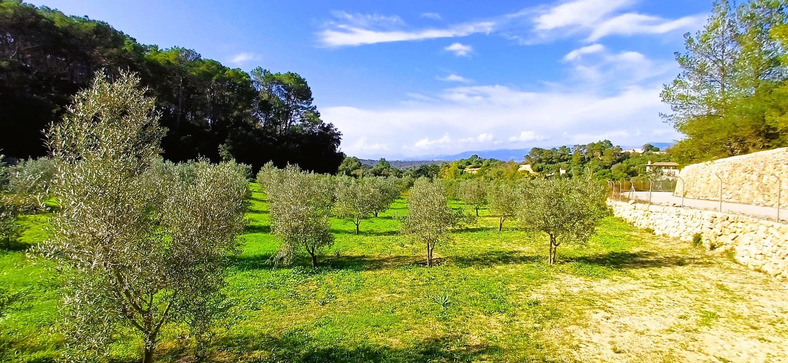 Grunde uden byggetilladelser til salg i Costitx - € 270.000 (Ref: 9699213)