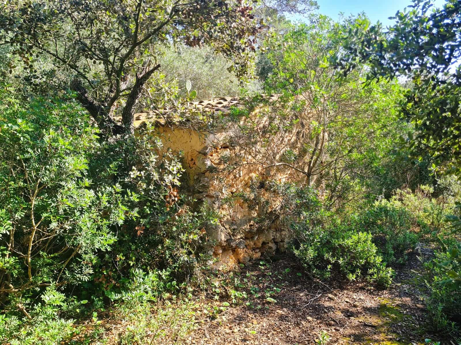 Grunde uden byggetilladelser til salg i Costitx - € 270.000 (Ref: 9699213)