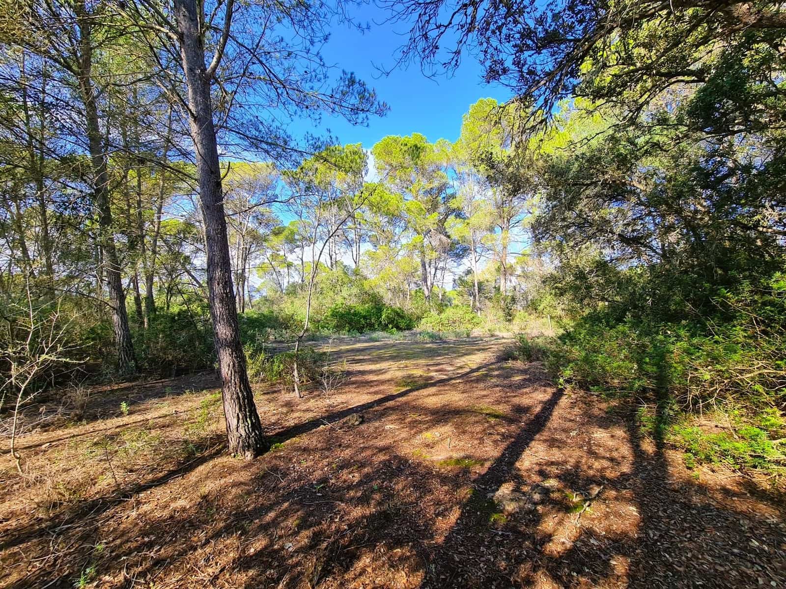 Grunde uden byggetilladelser til salg i Costitx - € 270.000 (Ref: 9699213)