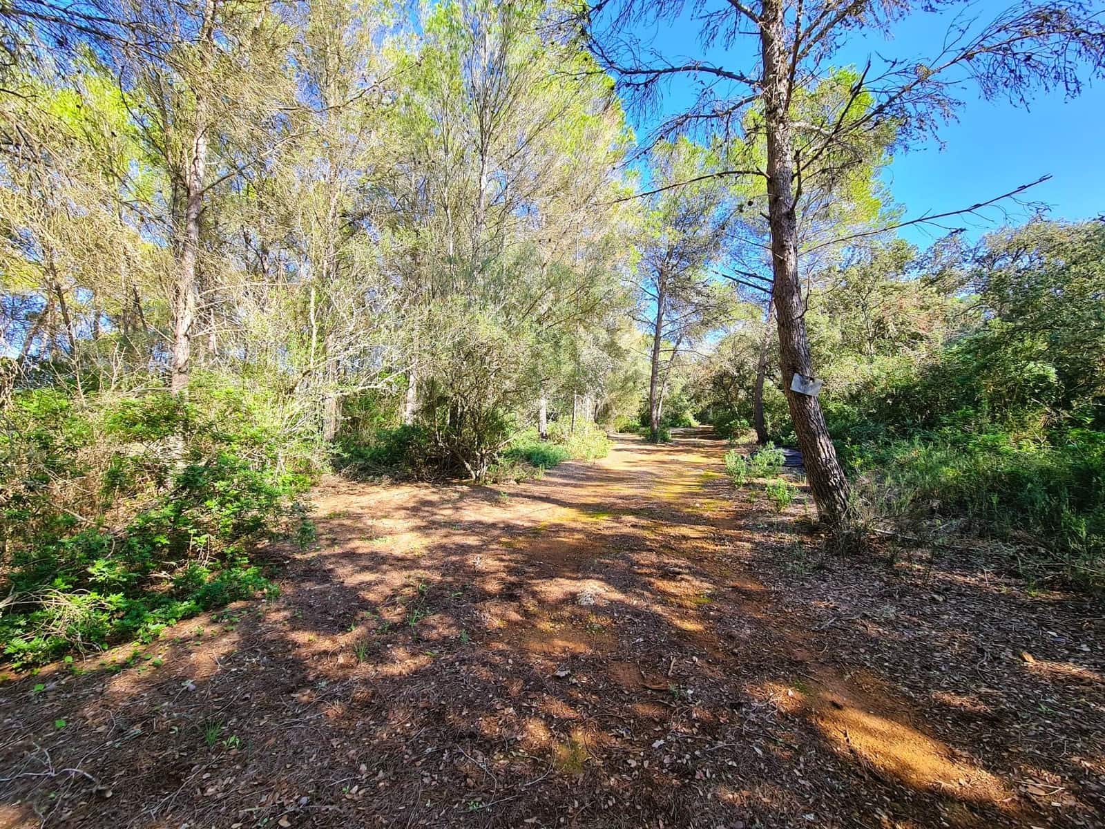 Grunde uden byggetilladelser til salg i Costitx - € 270.000 (Ref: 9699213)