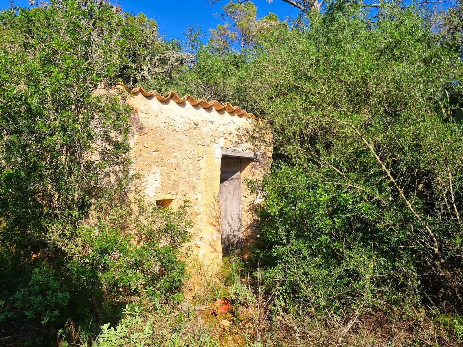 Grunde uden byggetilladelser til salg i Costitx - € 270.000 (Ref: 9699213)