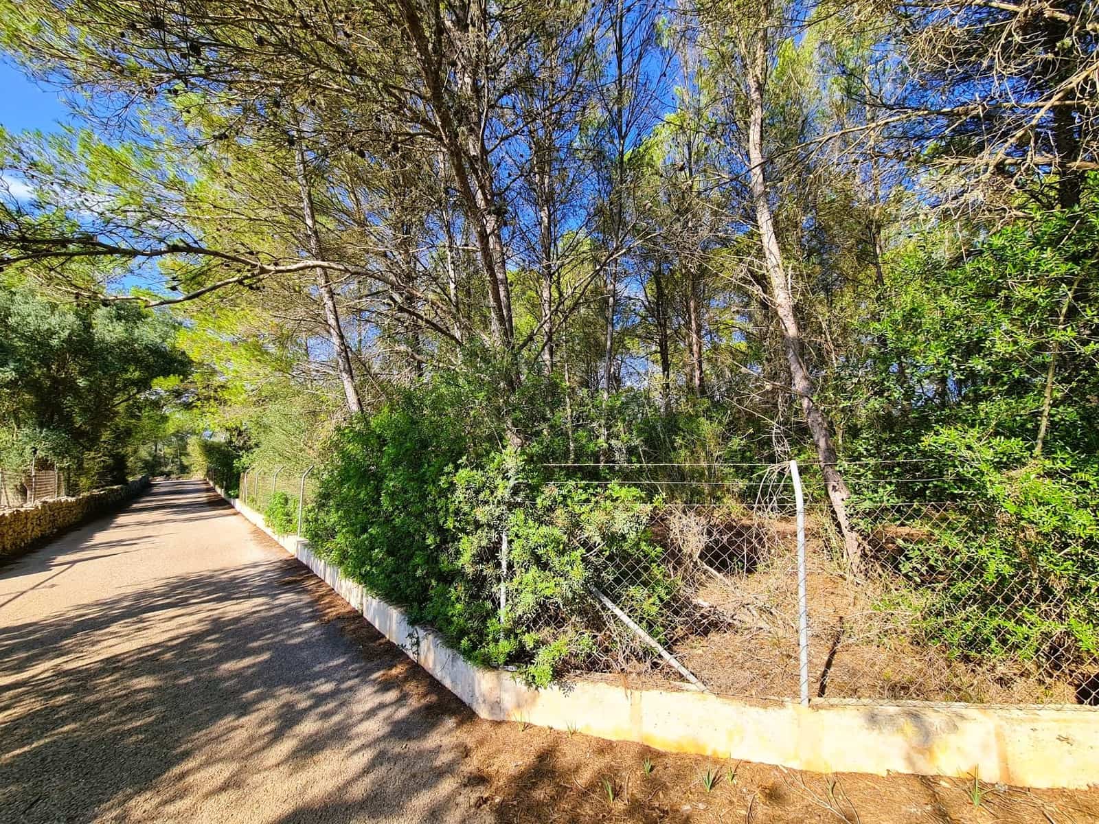 Grunde uden byggetilladelser til salg i Costitx - € 270.000 (Ref: 9699213)