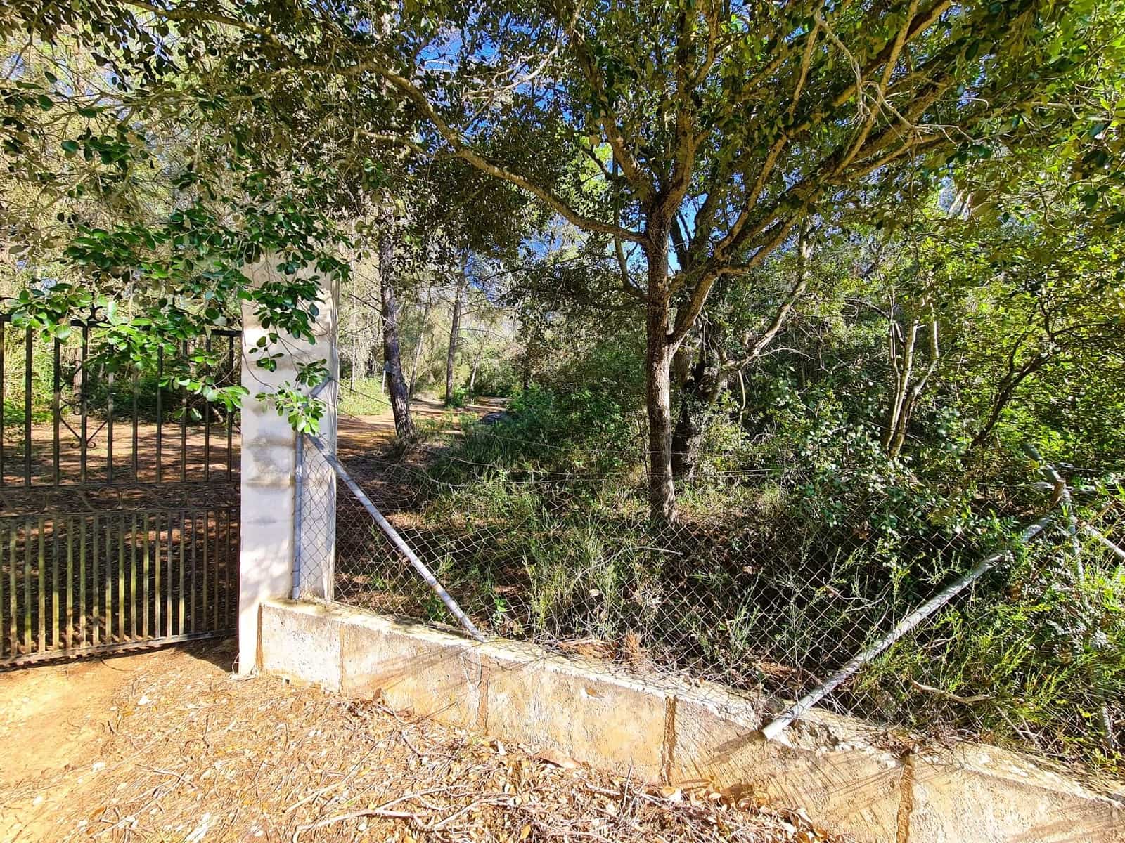 Grunde uden byggetilladelser til salg i Costitx - € 270.000 (Ref: 9699213)