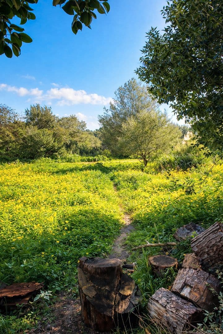 2 chambre Penthouse à vendre à Palma de Mallorca avec piscine garage - 900 000 € (Ref: 9699216)