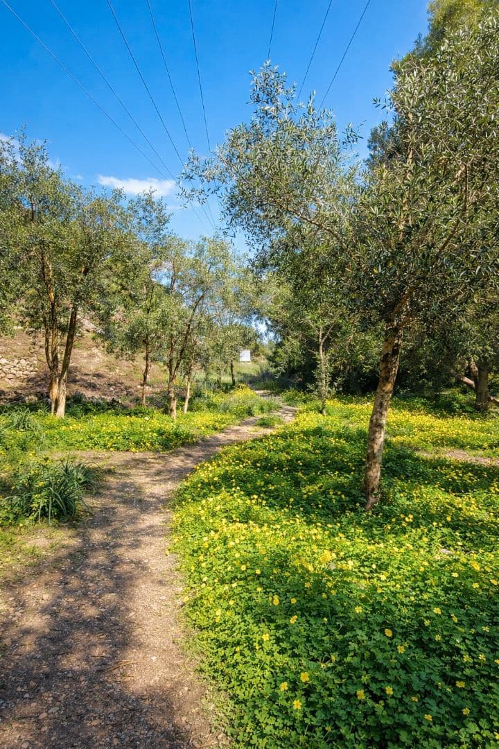 2 chambre Penthouse à vendre à Palma de Mallorca avec piscine garage - 900 000 € (Ref: 9699216)