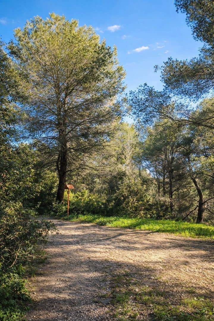 2 chambre Penthouse à vendre à Palma de Mallorca avec piscine garage - 900 000 € (Ref: 9699216)