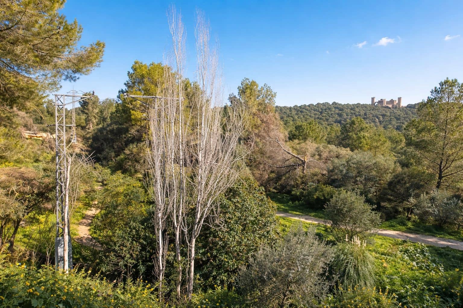 2 chambre Penthouse à vendre à Palma de Mallorca avec piscine garage - 900 000 € (Ref: 9699216)