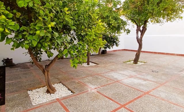 4 bedroom Apartment for rent in Son Cotoner, Palma de Mallorca - € 1,700 (Ref: 9723512)