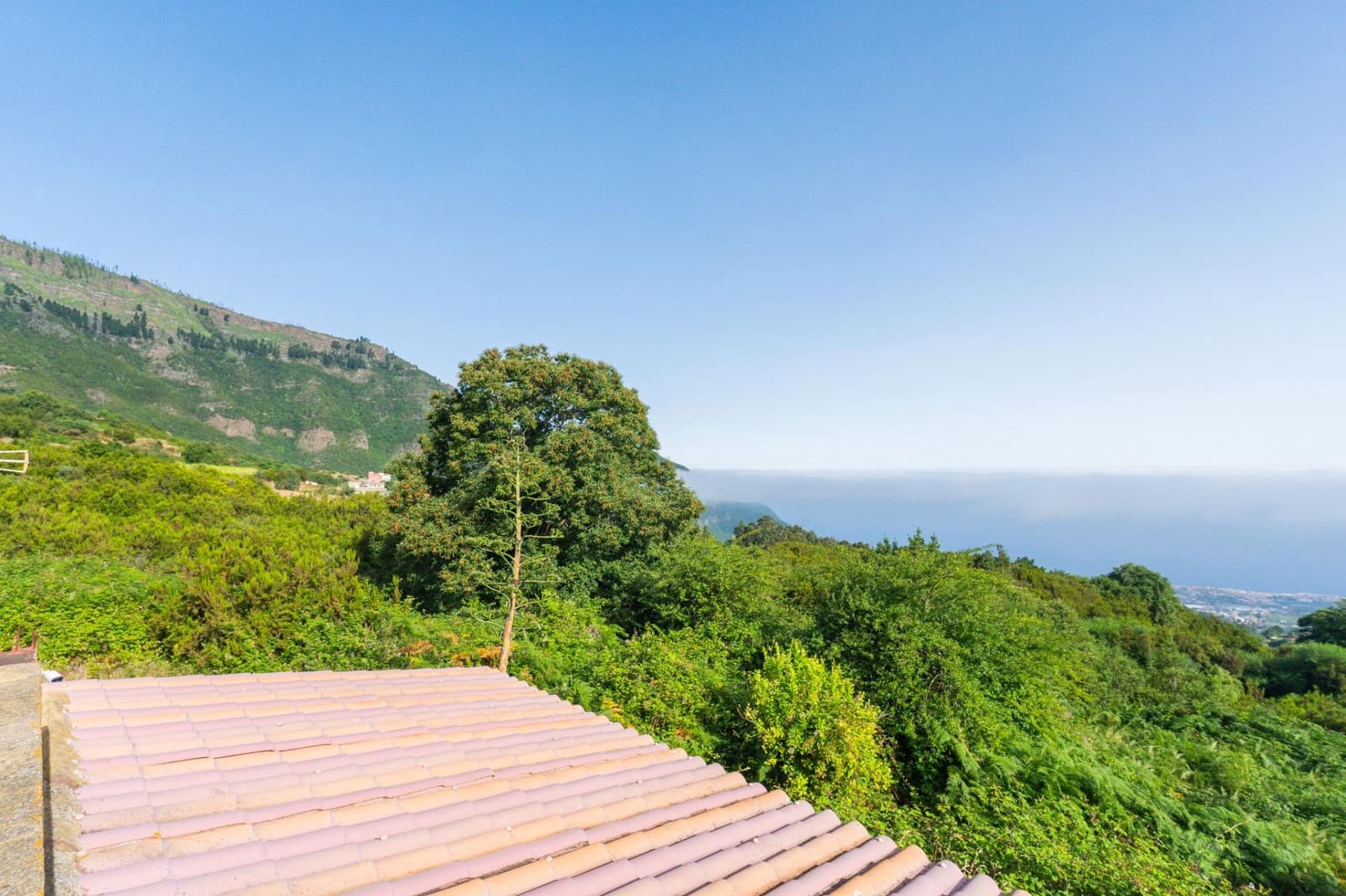 Grunde uden byggetilladelser til salg i Los Realejos - € 480.000 (Ref: 10020989)