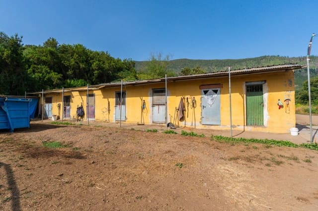 Grunde uden byggetilladelser til salg i Los Realejos - € 480.000 (Ref: 10020989)