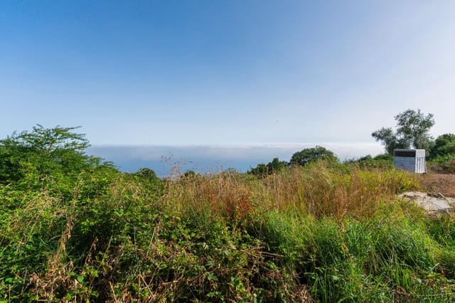 Grunde uden byggetilladelser til salg i Los Realejos - € 480.000 (Ref: 10020989)