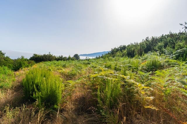 Grunde uden byggetilladelser til salg i Los Realejos - € 480.000 (Ref: 10020989)