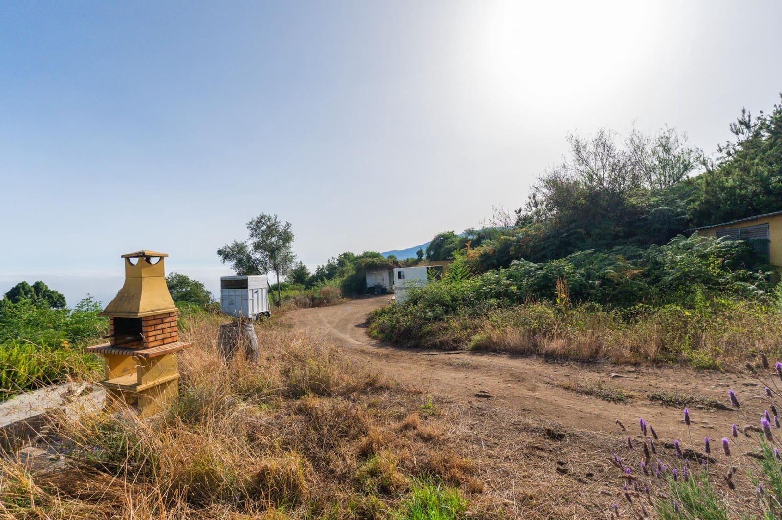 Grunde uden byggetilladelser til salg i Los Realejos - € 480.000 (Ref: 10020989)