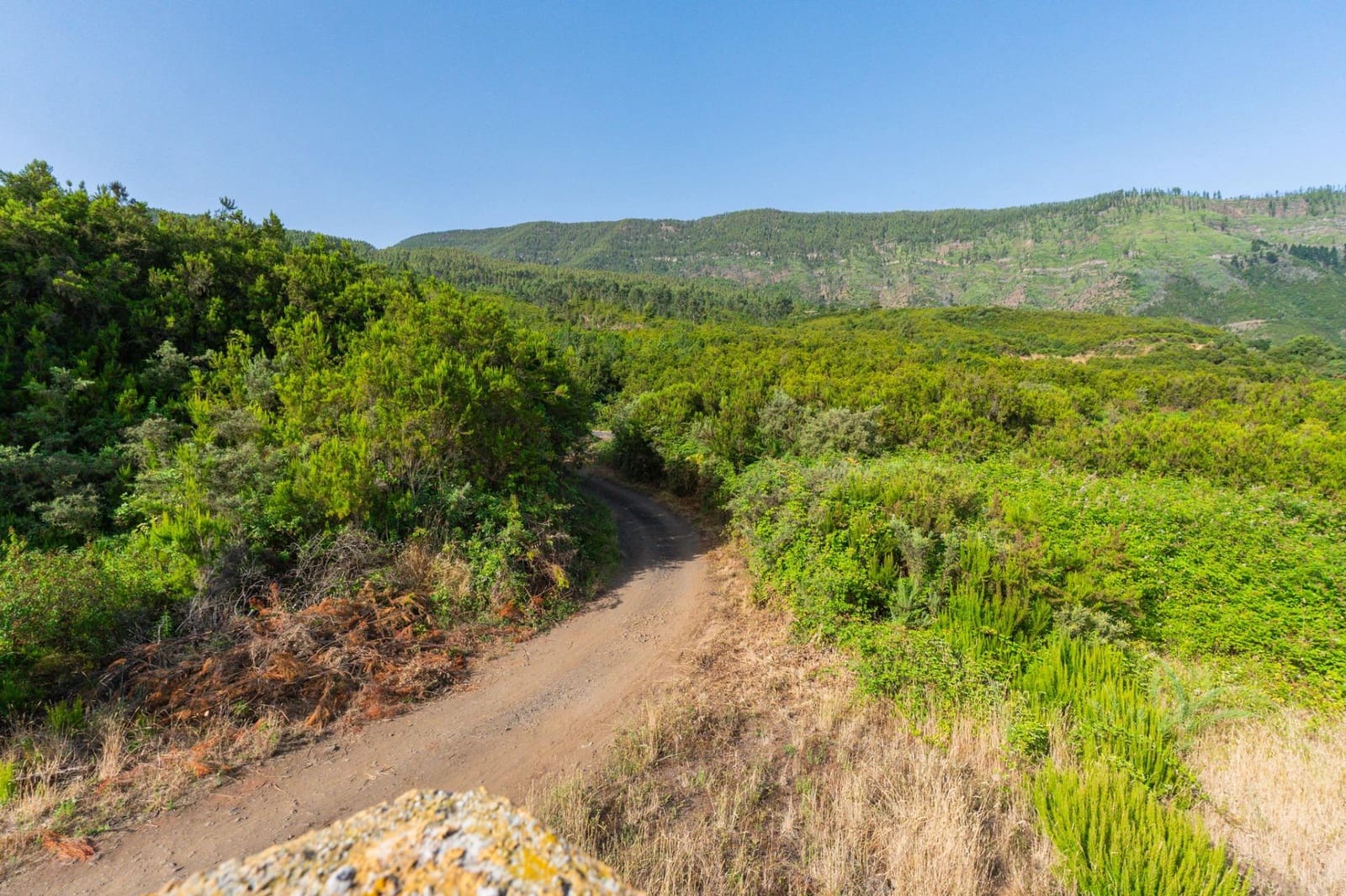 Grunde uden byggetilladelser til salg i Los Realejos - € 480.000 (Ref: 10020989)