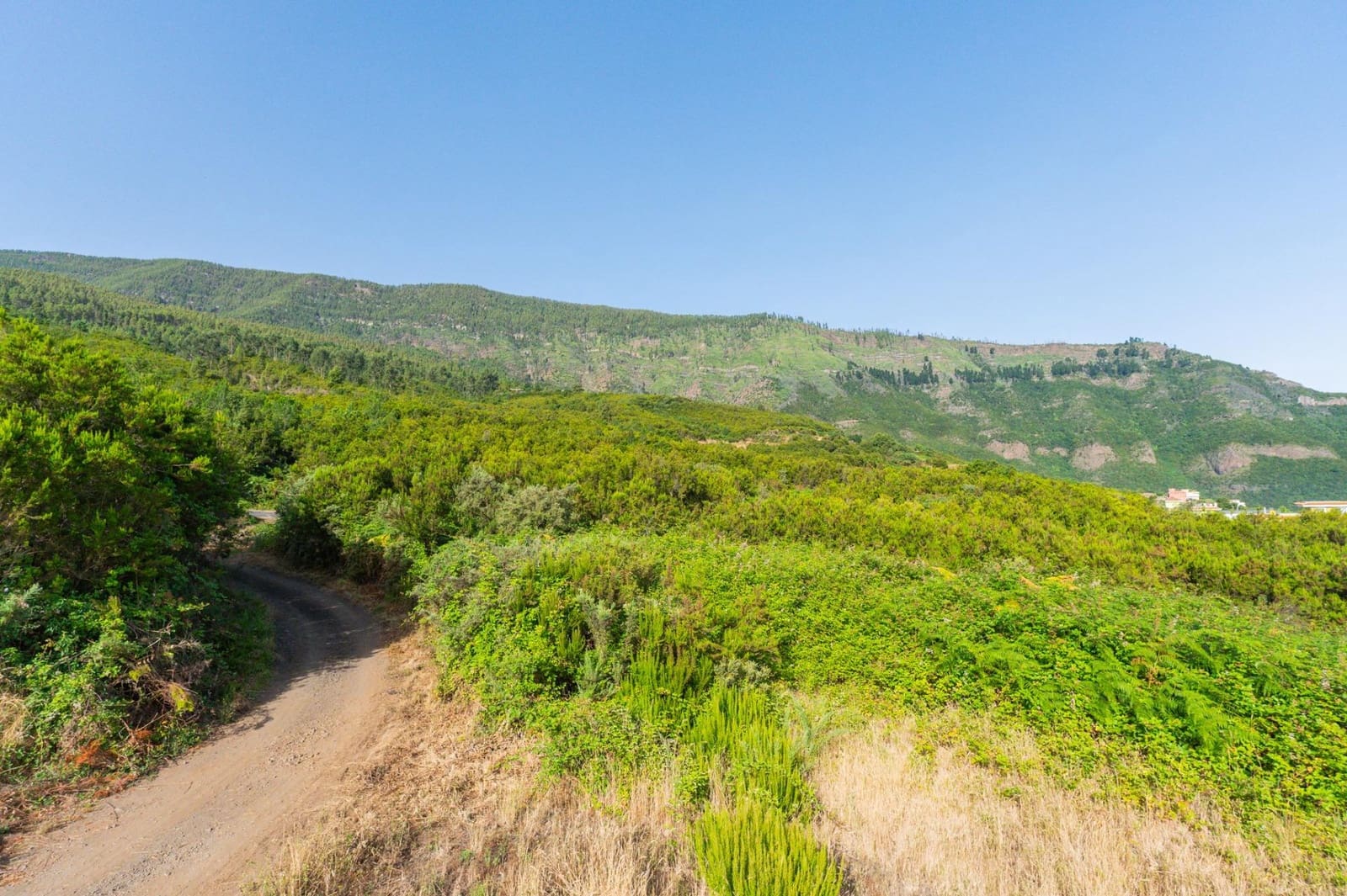 Grunde uden byggetilladelser til salg i Los Realejos - € 480.000 (Ref: 10020989)