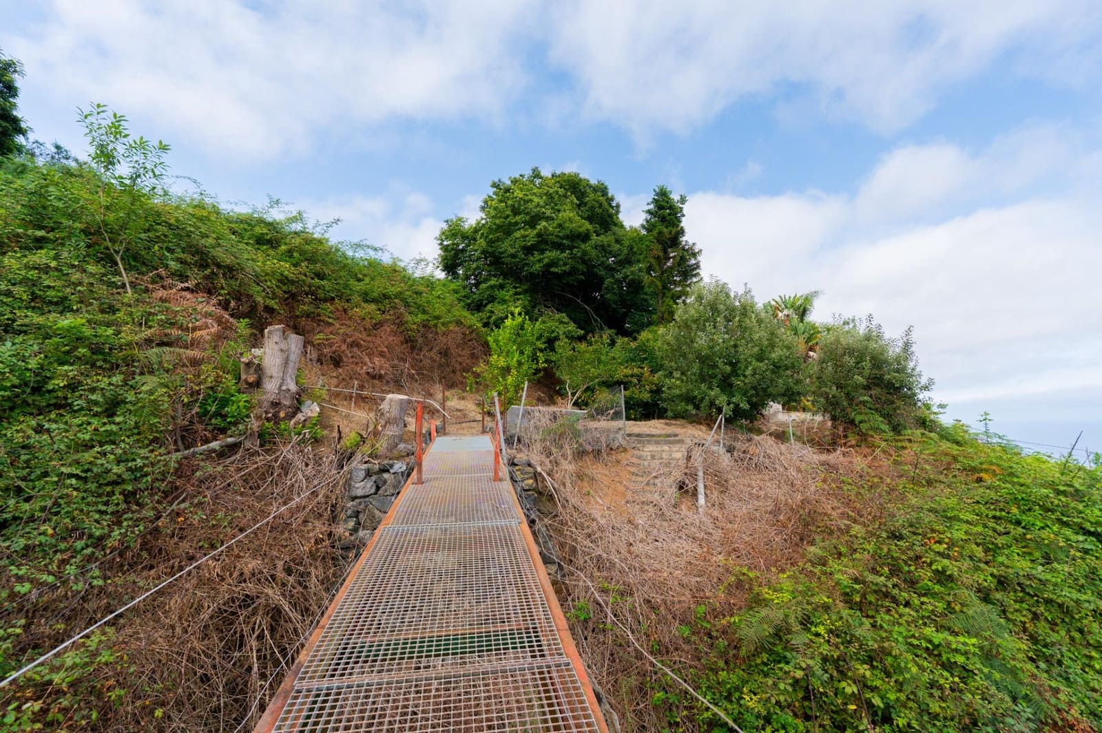 Finca/Casa Rural de 3 habitaciones en La Orotava en venta - 395.000 € (Ref: 10129597)