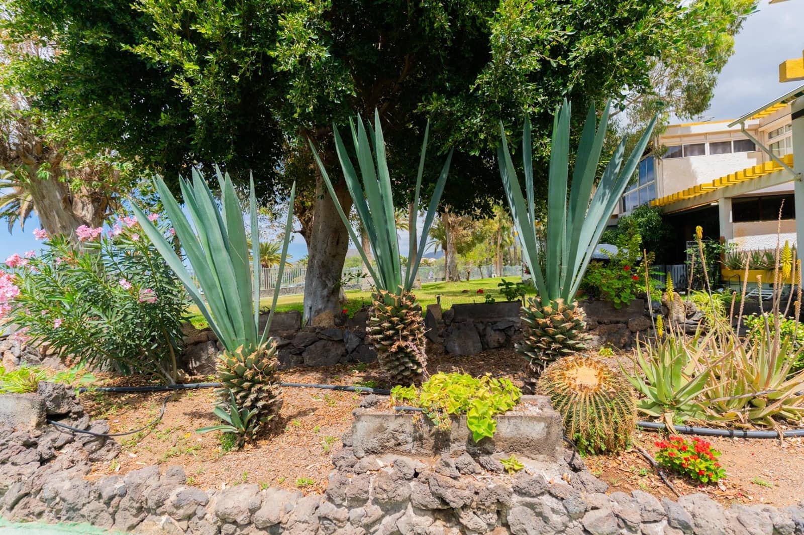 1 soverom Leilighet til salgs i Costa del Silencio med svømmebasseng - € 148 000 (Ref: 9892726)