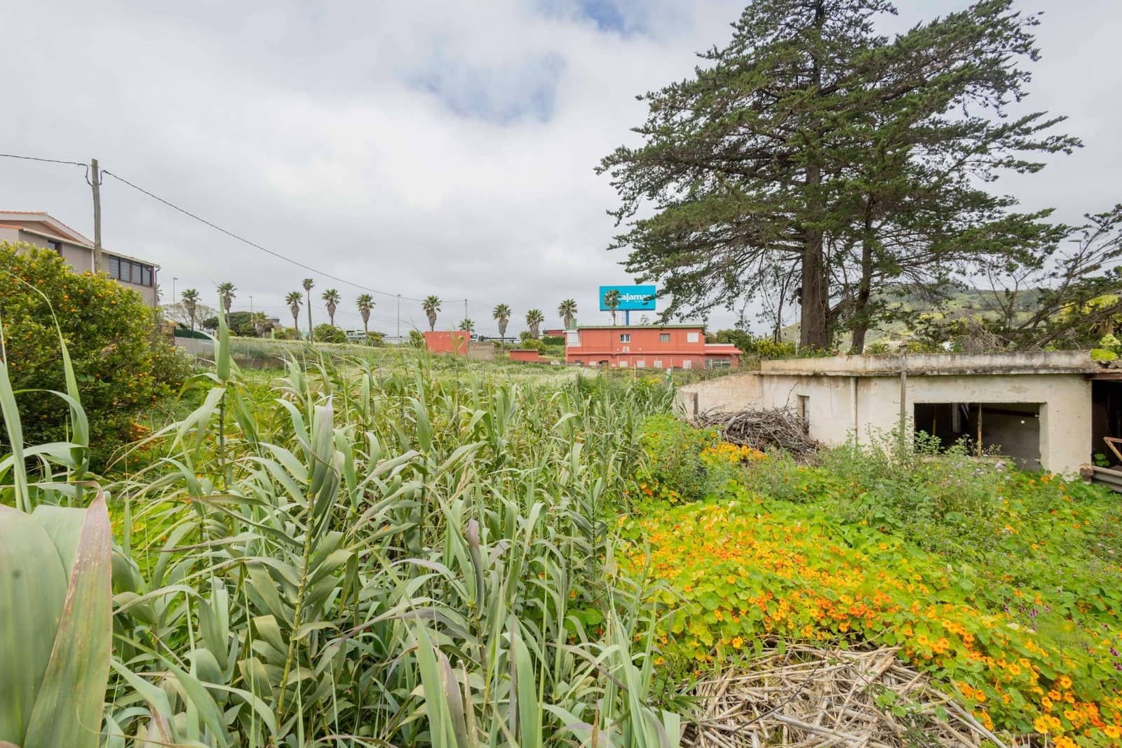 Area Edificabile in vendita in San Cristobal de La Laguna - 148.000 € (Rif: 9892728)