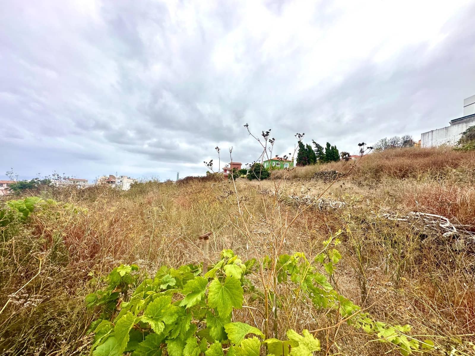 Area Edificabile in vendita in La Matanza de Acentejo - 120.000 € (Rif: 9892738)
