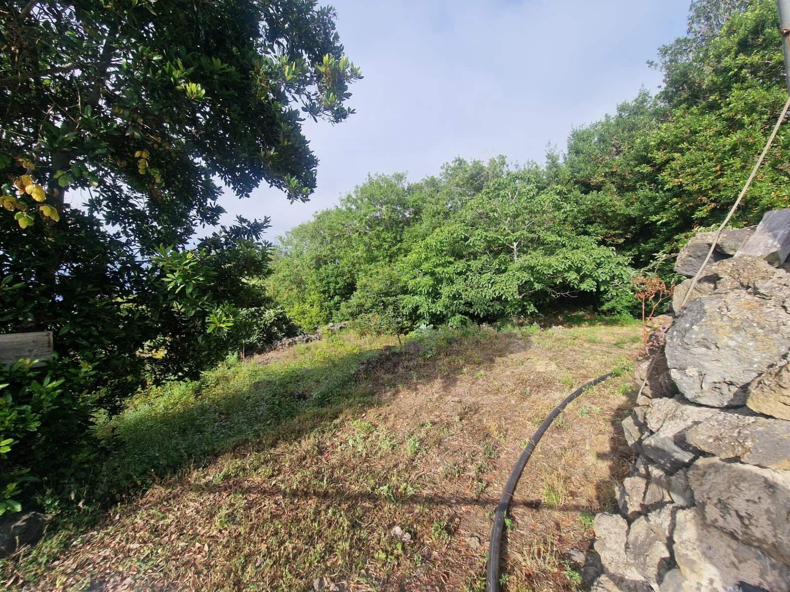 2 sypialnia Finka/Dom wiejski na sprzedaż w Icod de los Vinos z garażem - 152 000 € (Ref: 9892739)