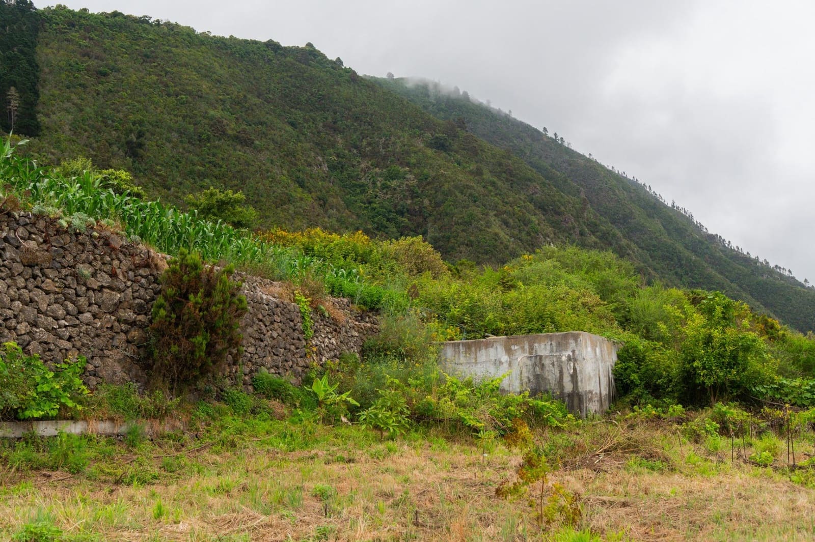 Undeveloped Land for sale in La Orotava - € 58,000 (Ref: 9973362)