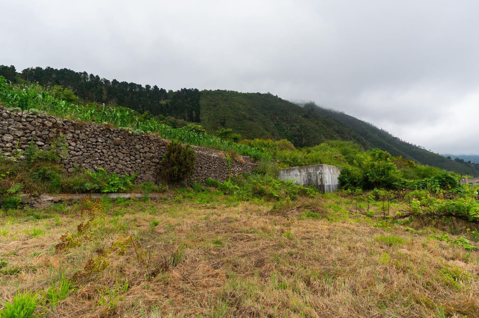 Undeveloped Land for sale in La Orotava - € 58,000 (Ref: 9973362)
