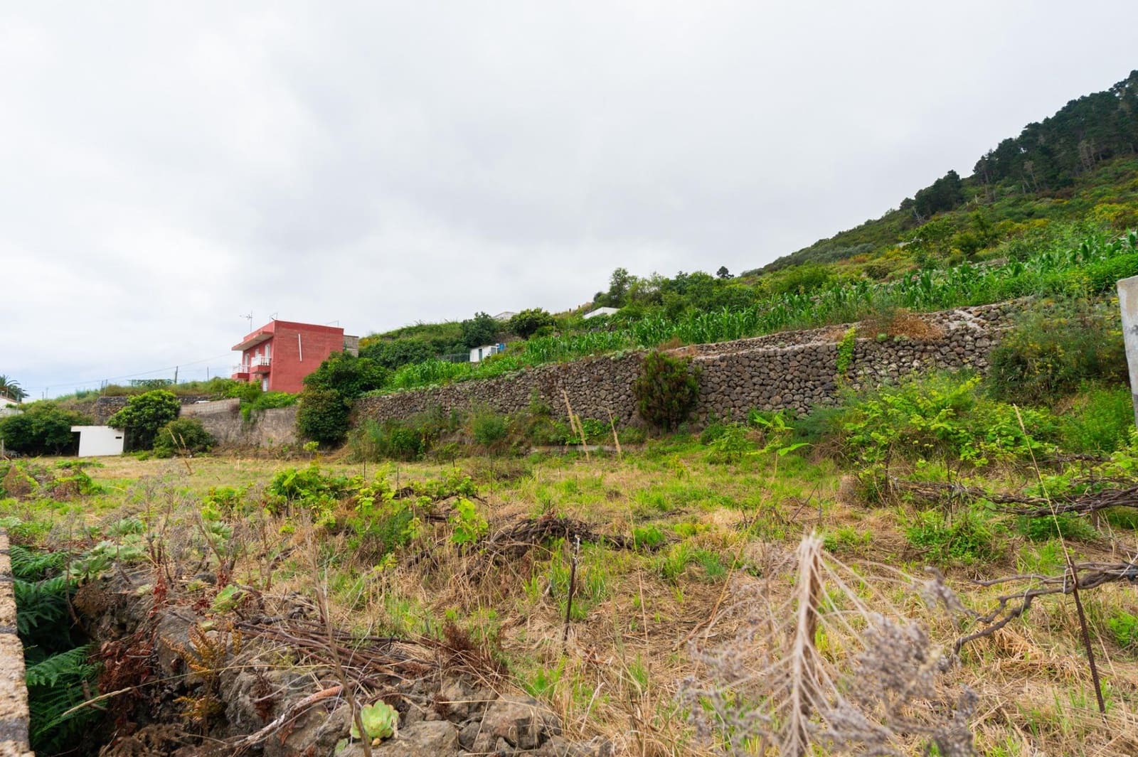 Undeveloped Land for sale in La Orotava - € 58,000 (Ref: 9973362)