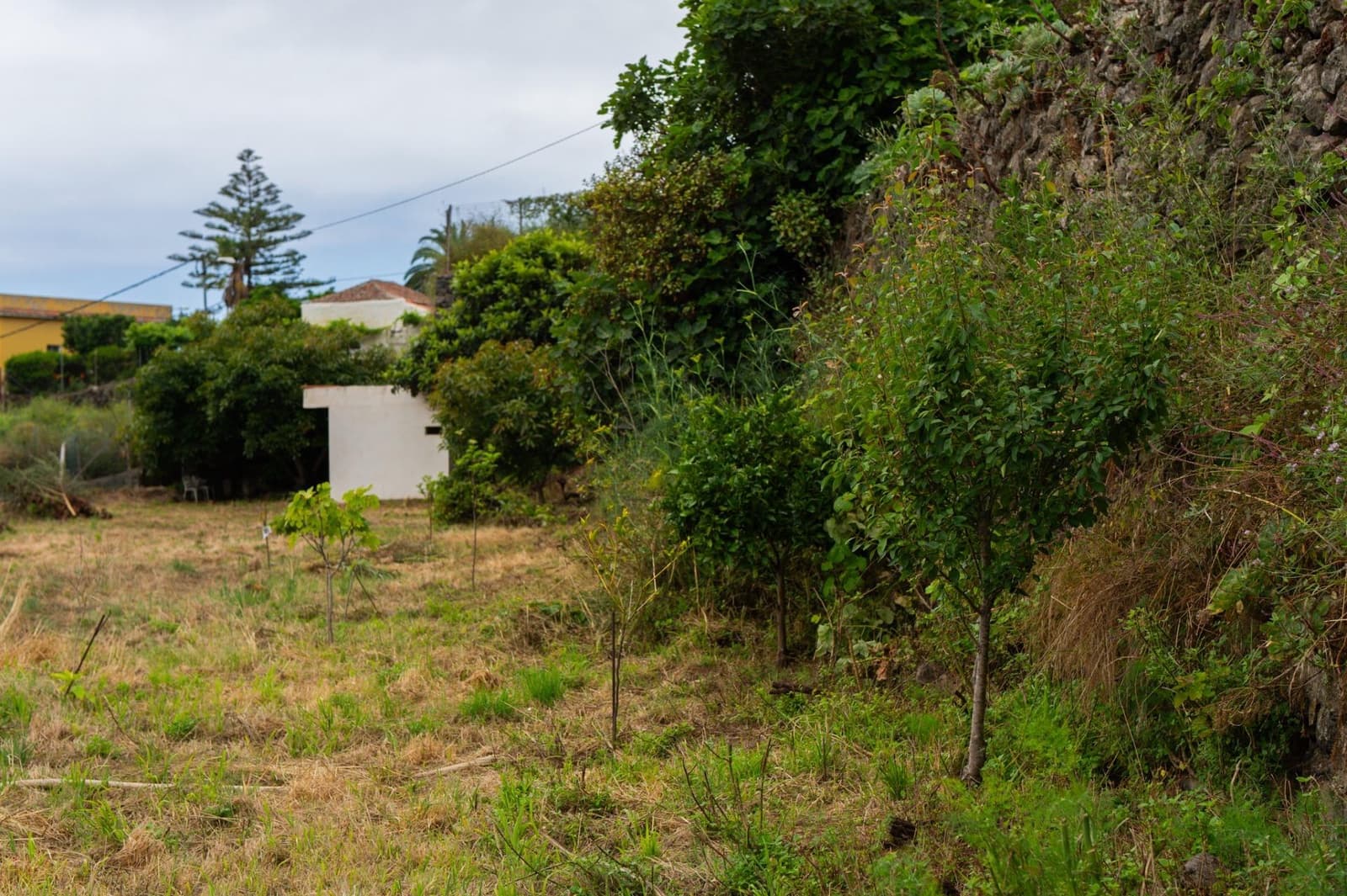 Undeveloped Land for sale in La Orotava - € 58,000 (Ref: 9973362)