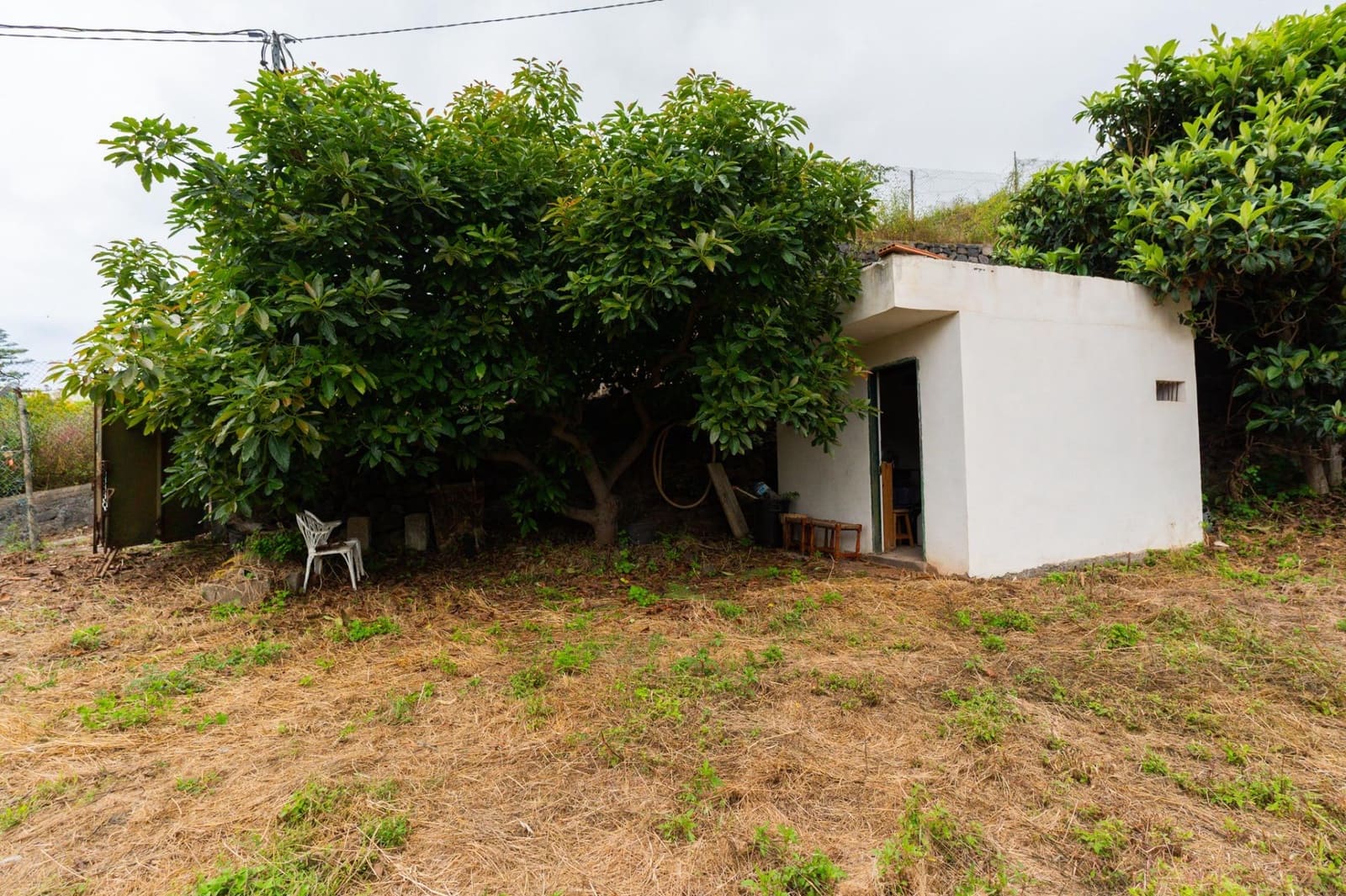 Undeveloped Land for sale in La Orotava - € 58,000 (Ref: 9973362)