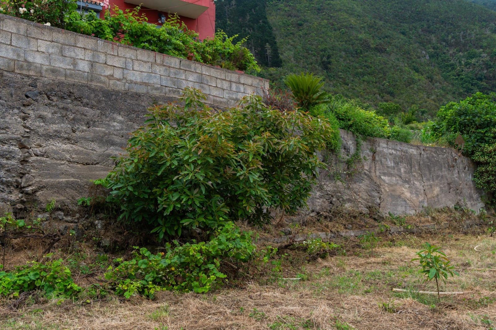 Undeveloped Land for sale in La Orotava - € 58,000 (Ref: 9973362)