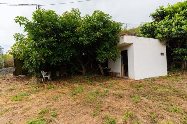 Grunde uden byggetilladelser til salg i La Orotava - € 58.000 (Ref: 9973362)
