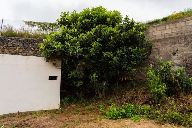 Grunde uden byggetilladelser til salg i La Orotava - € 58.000 (Ref: 9973362)