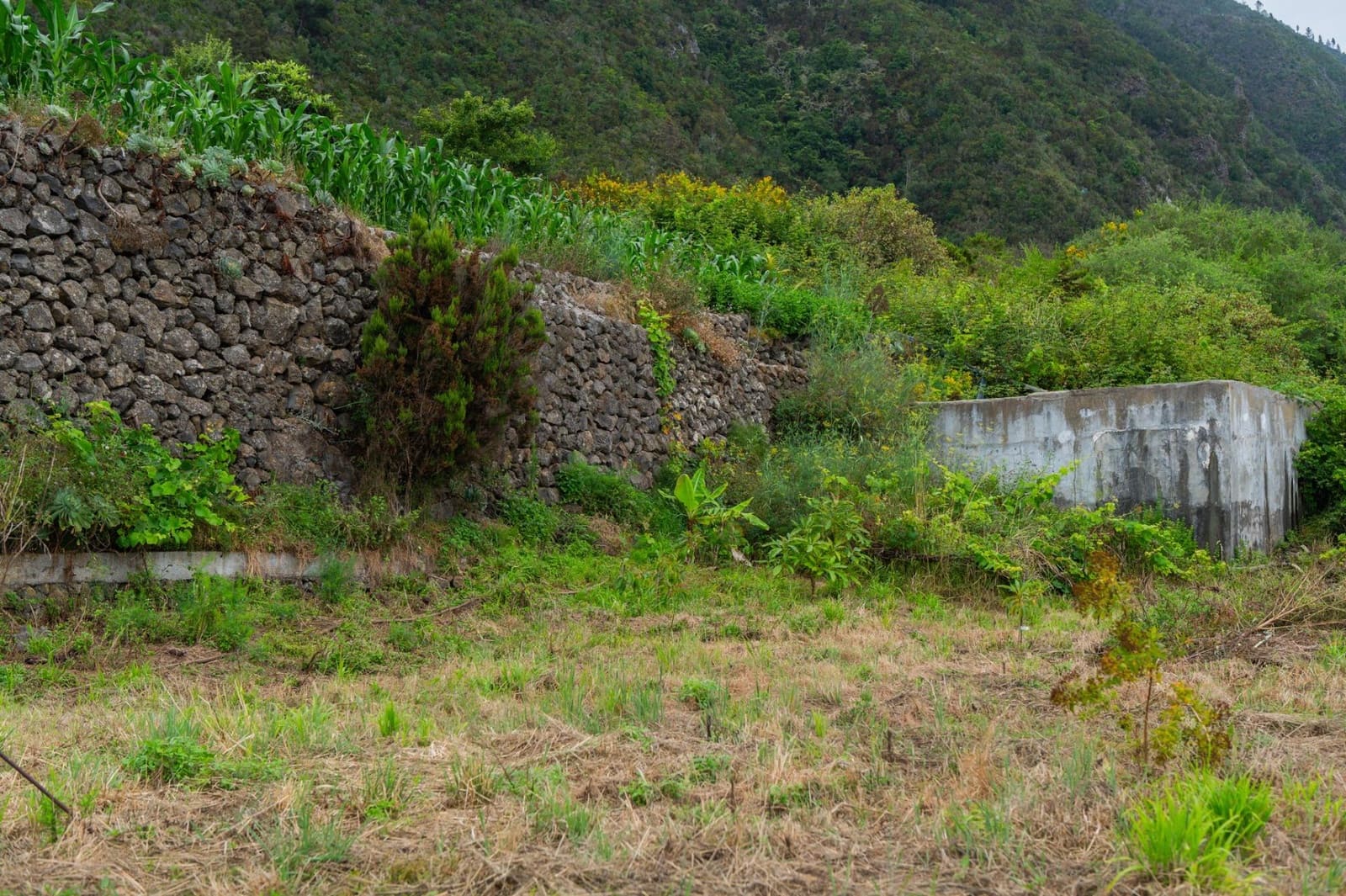 Undeveloped Land for sale in La Orotava - € 58,000 (Ref: 9973362)
