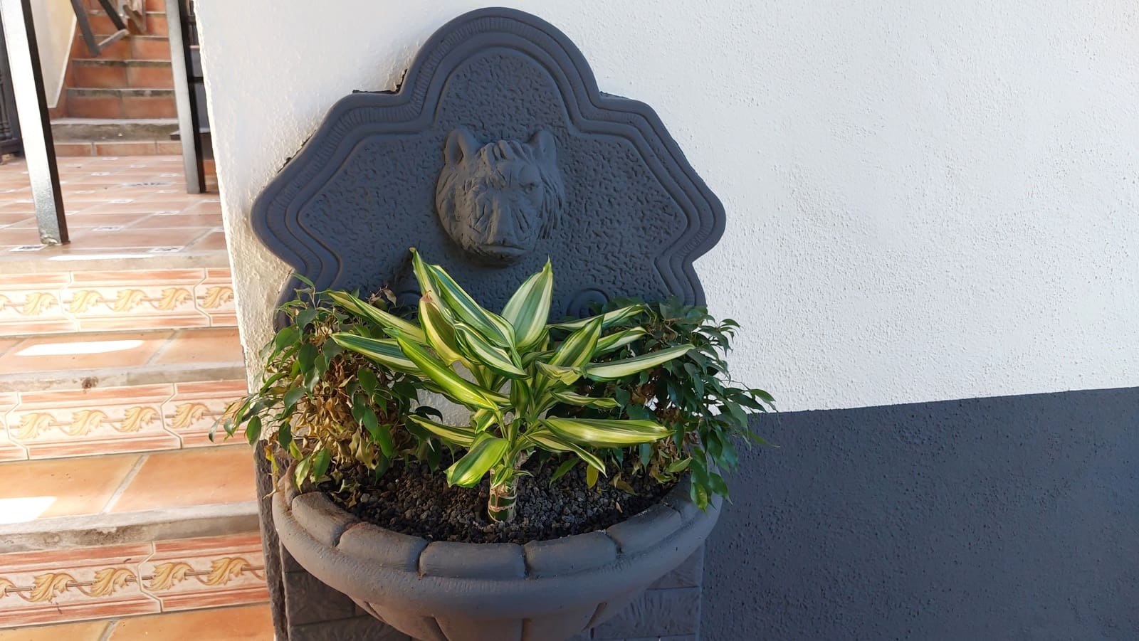 7 makuuhuone Hotelli myytävänä paikassa Icod de los Vinos - 1 000 000 € (Ref: 9659723)