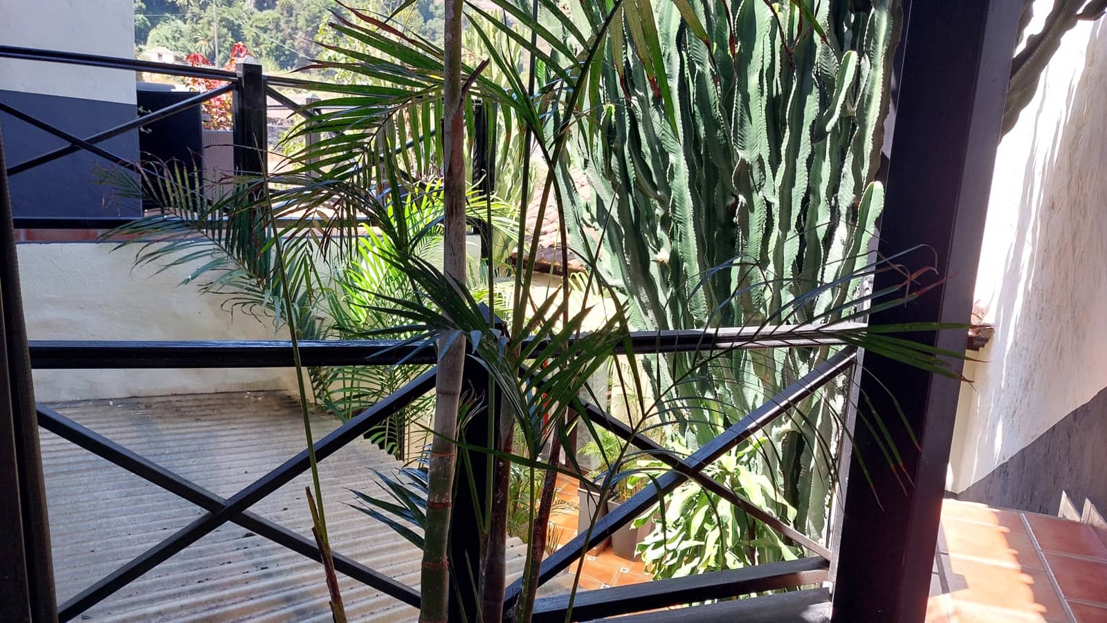 7 makuuhuone Hotelli myytävänä paikassa Icod de los Vinos - 1 000 000 € (Ref: 9659723)