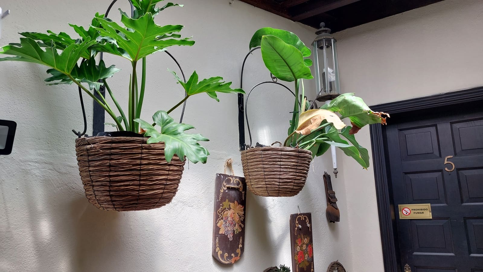 7 makuuhuone Hotelli myytävänä paikassa Icod de los Vinos - 1 000 000 € (Ref: 9659723)