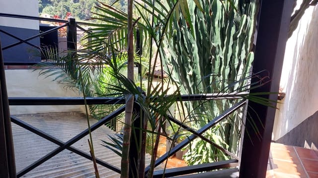 7 sovrum Hotell till salu i Icod de los Vinos - 1 000 000 € (Ref: 9659723)