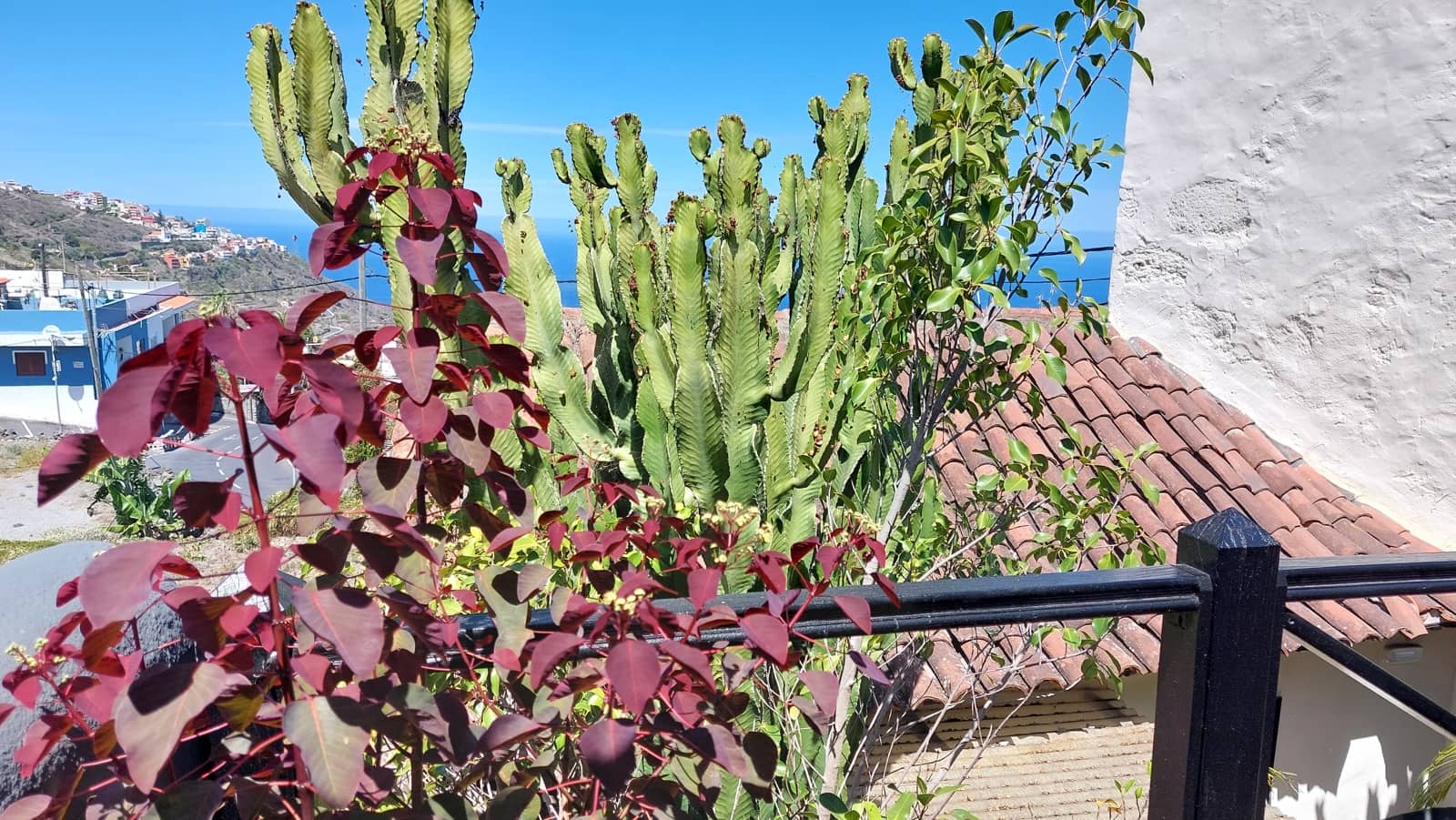 7 makuuhuone Hotelli myytävänä paikassa Icod de los Vinos - 1 000 000 € (Ref: 9659723)