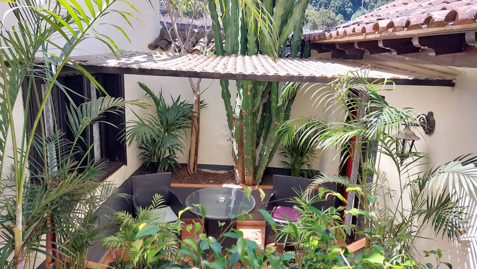 7 makuuhuone Hotelli myytävänä paikassa Icod de los Vinos - 1 000 000 € (Ref: 9659723)