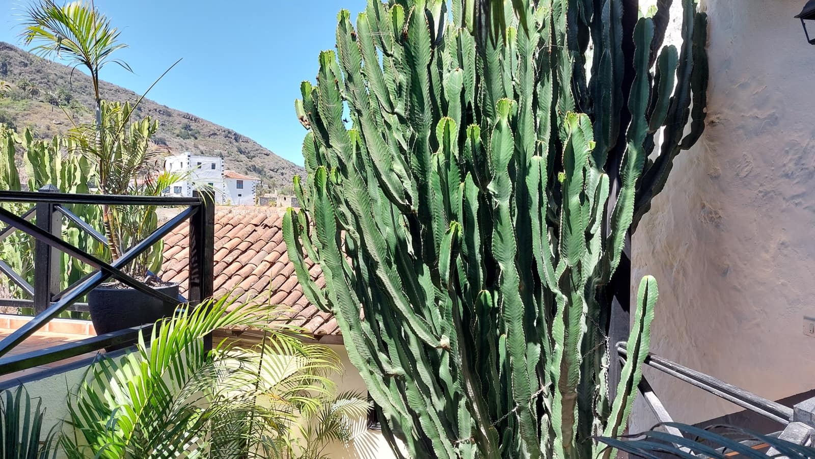 7 makuuhuone Hotelli myytävänä paikassa Icod de los Vinos - 1 000 000 € (Ref: 9659723)