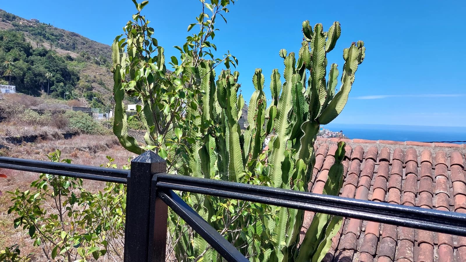 7 makuuhuone Hotelli myytävänä paikassa Icod de los Vinos - 1 000 000 € (Ref: 9659723)