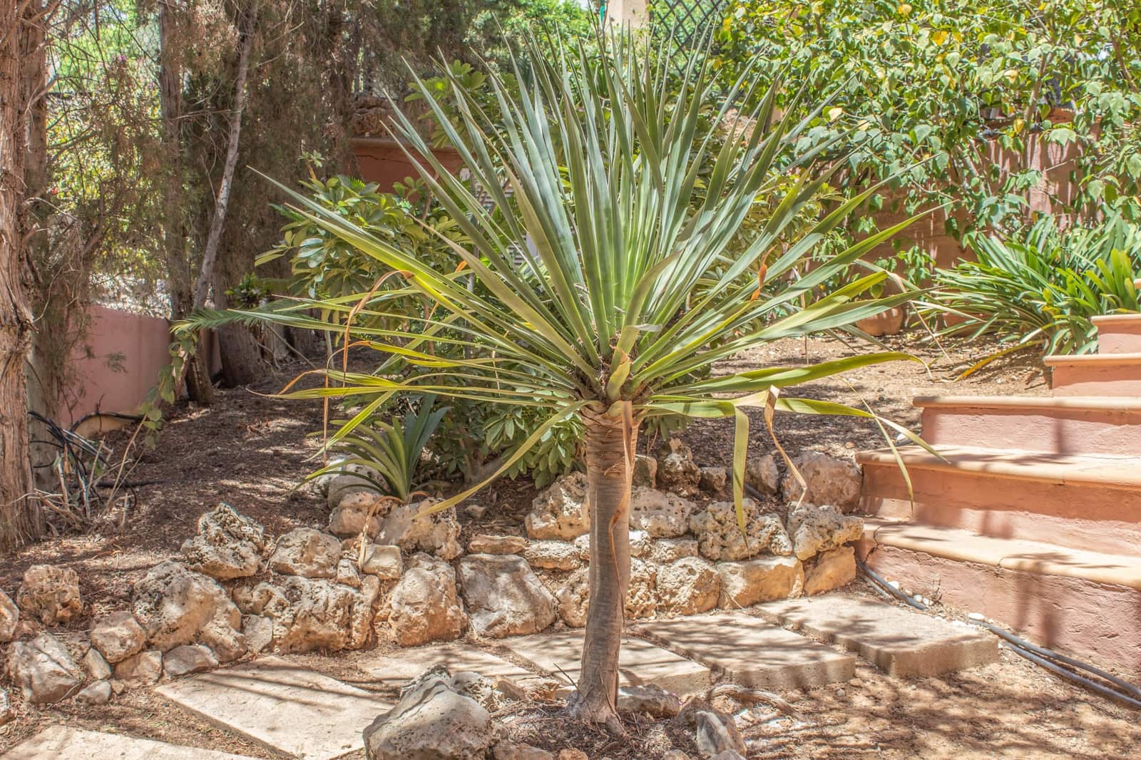 3 quarto Moradia em Banda para venda em Cas Catala com piscina garagem - 961 000 € (Ref: 9657865)